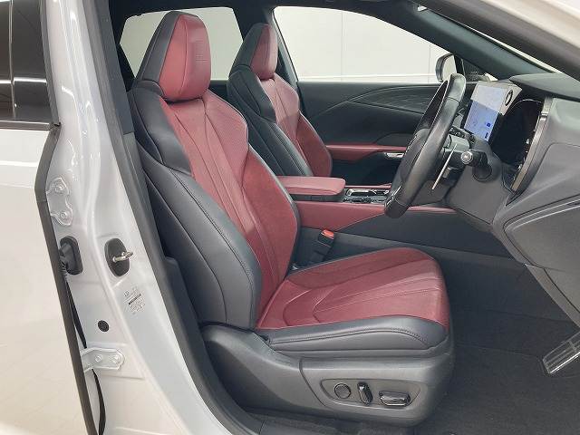 Lexus RX 11