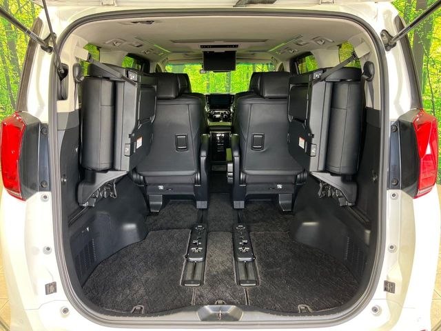 Toyota Alphard 11