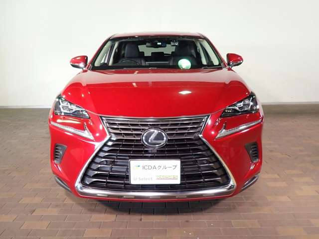 Lexus NX 11