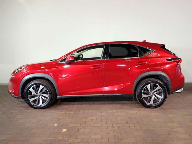 Lexus NX 12