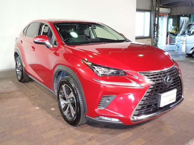 Lexus NX 10