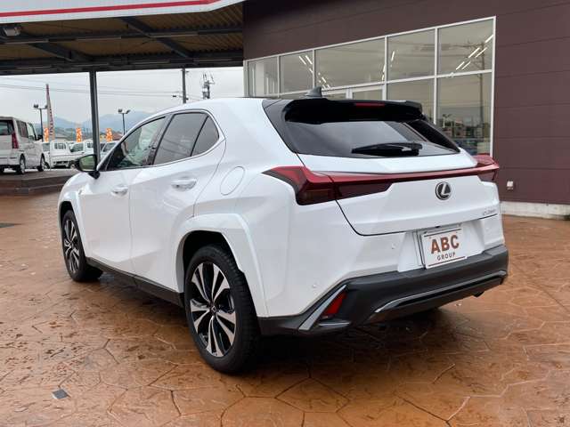 Lexus UX 11