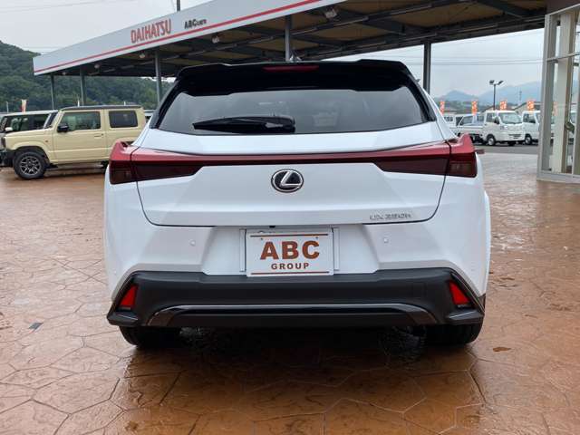 Lexus UX 12
