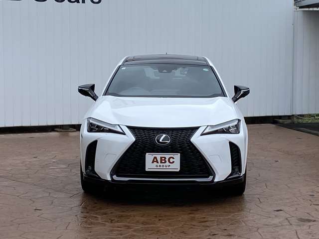 Lexus UX 9