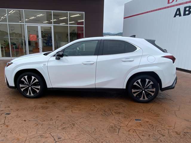 Lexus UX 10
