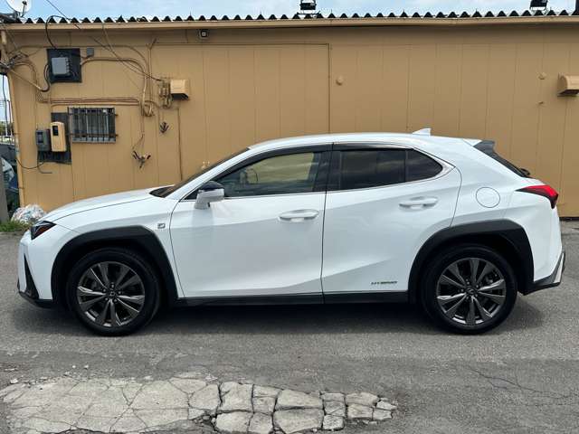 Lexus UX 12