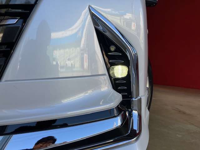 Toyota Alphard 6