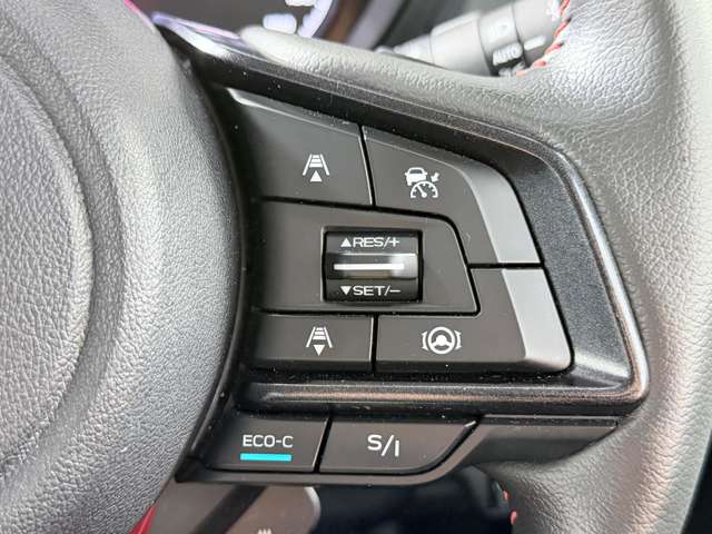 Other Japanese Forester 8