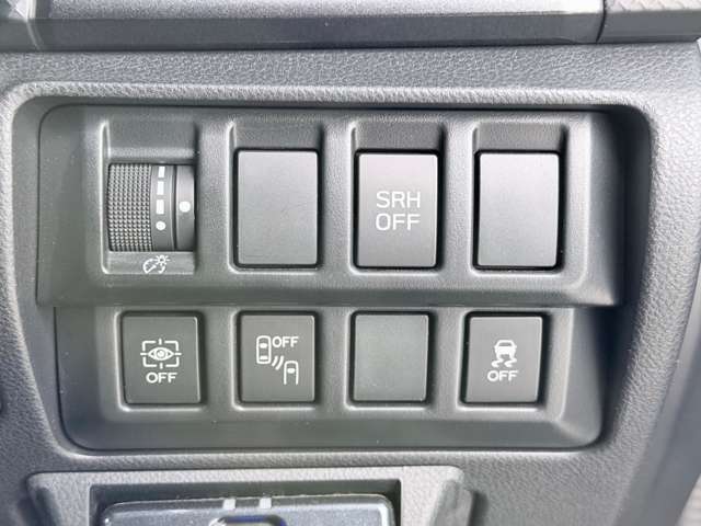 Other Japanese Forester 9
