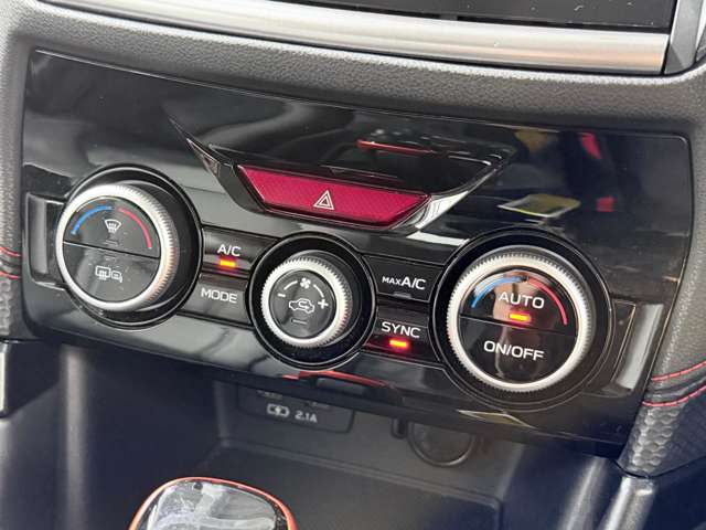 Other Japanese Forester 11