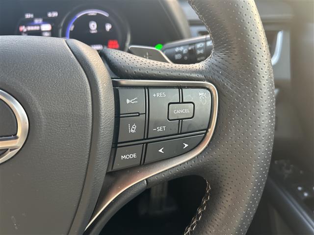 Lexus UX 12