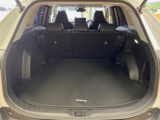 Toyota RAV4 10