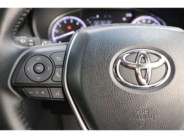 Toyota Harrier 10