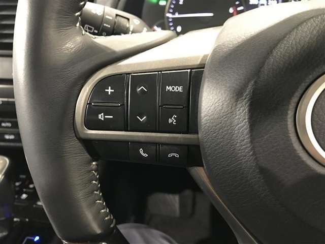 Lexus RX 12