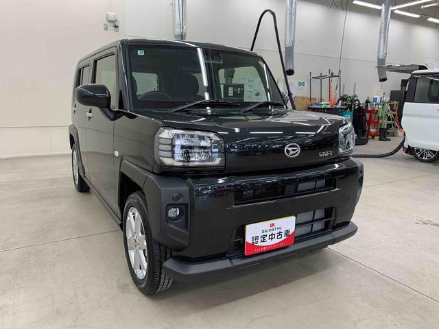 Daihatsu Taft 9