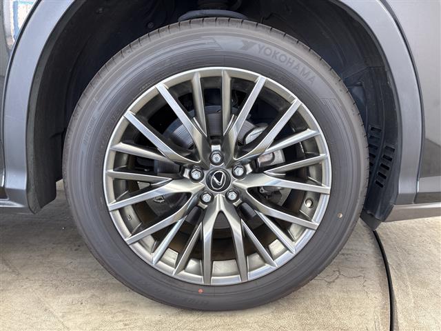 Lexus RX 12