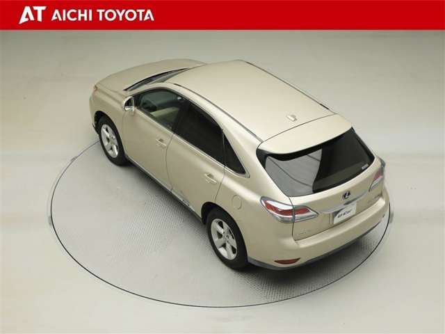 Lexus RX Hybrid 12