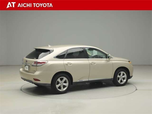Lexus RX Hybrid 6