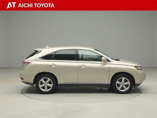 Lexus RX Hybrid 7