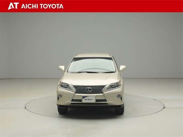Lexus RX Hybrid 9