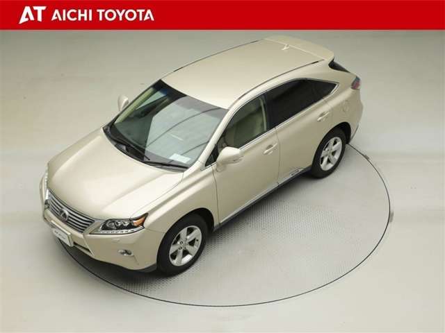 Lexus RX Hybrid 10