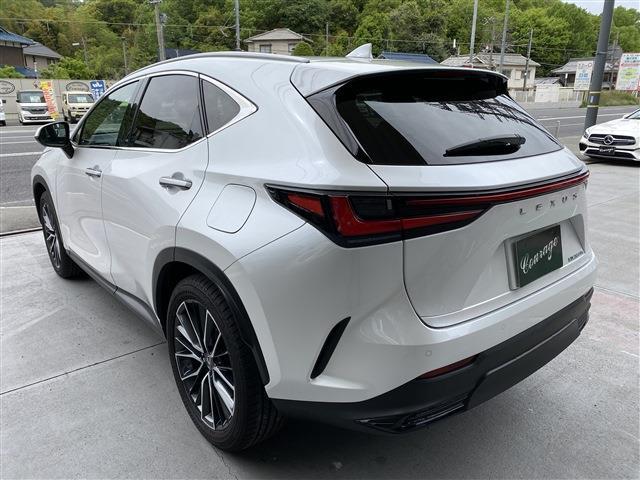 Lexus NX 11