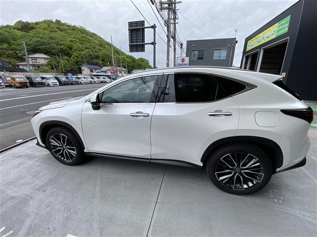 Lexus NX 12