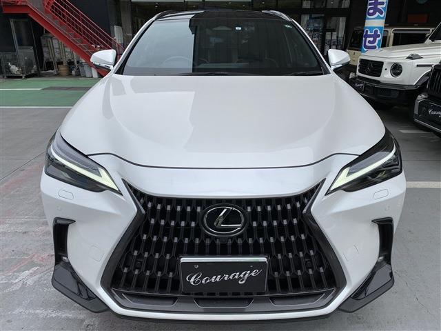 Lexus NX 6