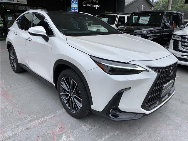Lexus NX 7