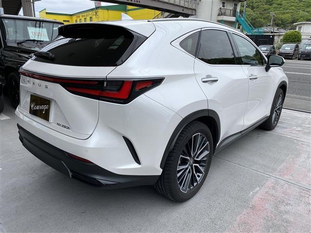 Lexus NX 9