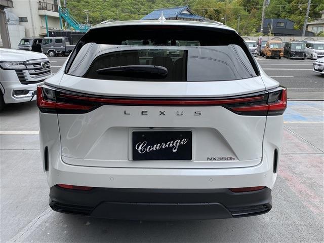 Lexus NX 10