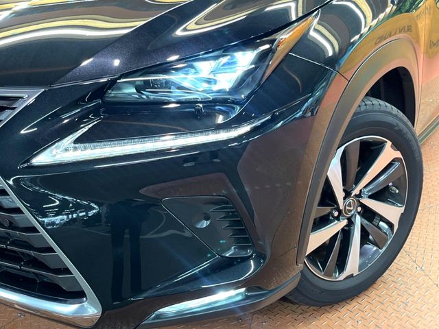 Lexus NX 12