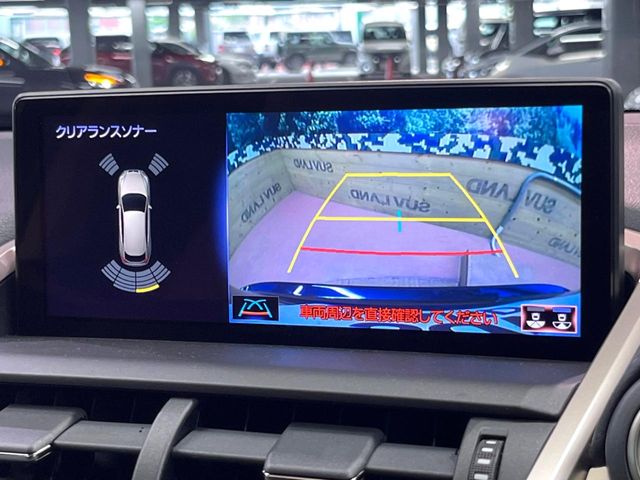 Lexus NX 4