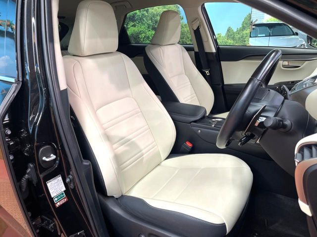 Lexus NX 9