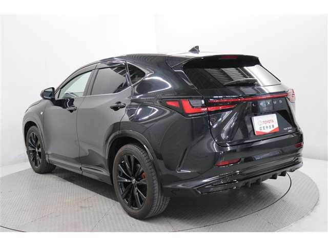 Lexus NX 7