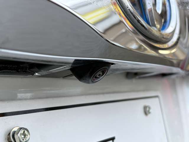 Toyota Alphard 12
