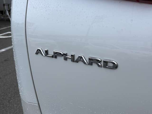 Toyota Alphard 9