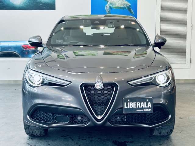 Alfa Romeo Stelvio 7