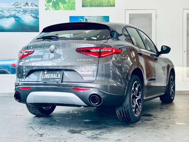 Alfa Romeo Stelvio 9