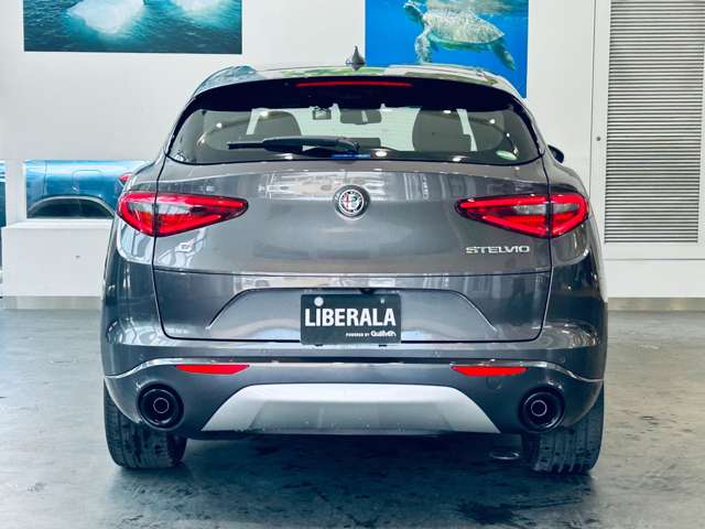 Alfa Romeo Stelvio 10