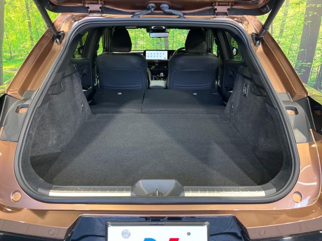 Toyota Crown Sport 10