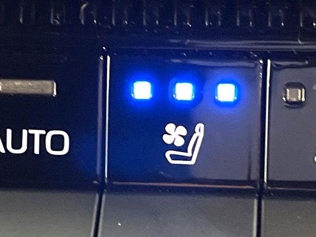 Toyota Land Cruiser 250 5