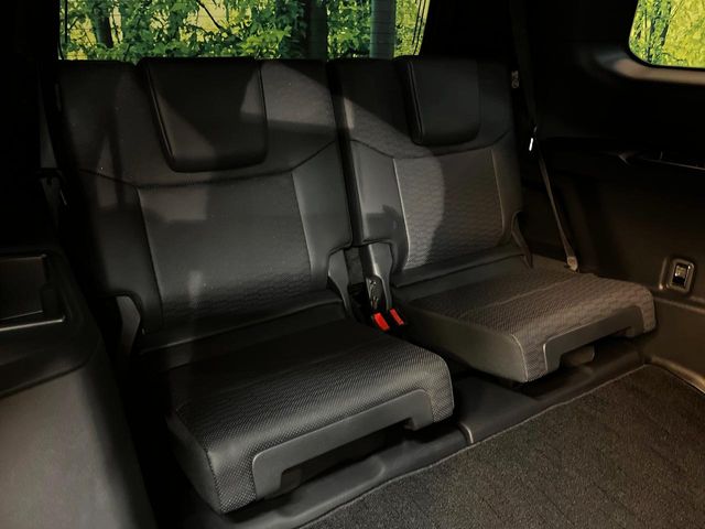 Toyota Land Cruiser 250 10