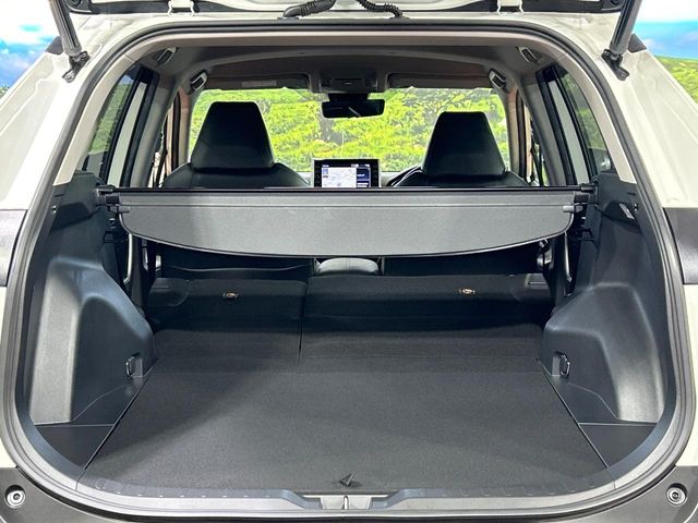 Toyota RAV4 10