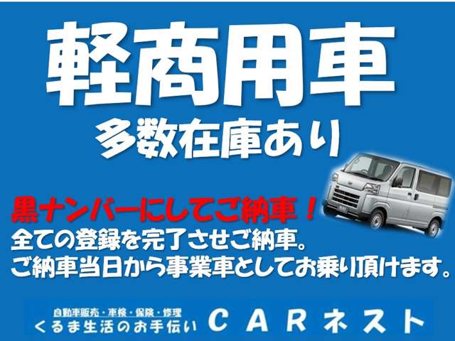 Toyota Pixis Van 2