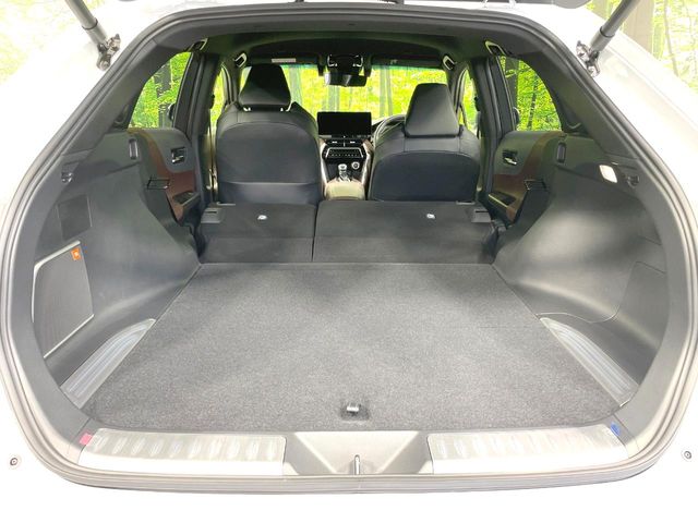 Toyota Harrier 10