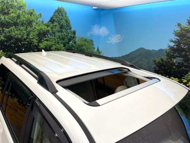 Toyota Land Cruiser Prado 5