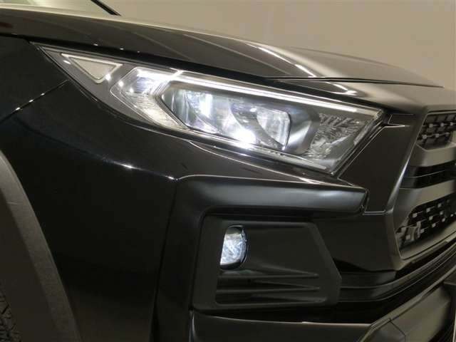 Toyota RAV4 10