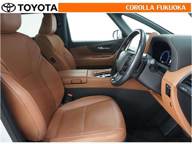 Toyota Vellfire 11