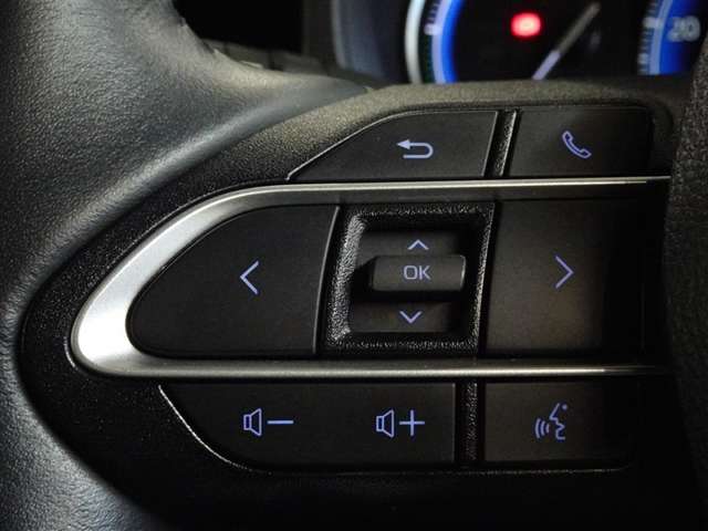 Toyota Voxy 10